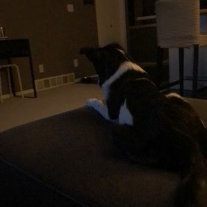 Meet your Posher, Jackie